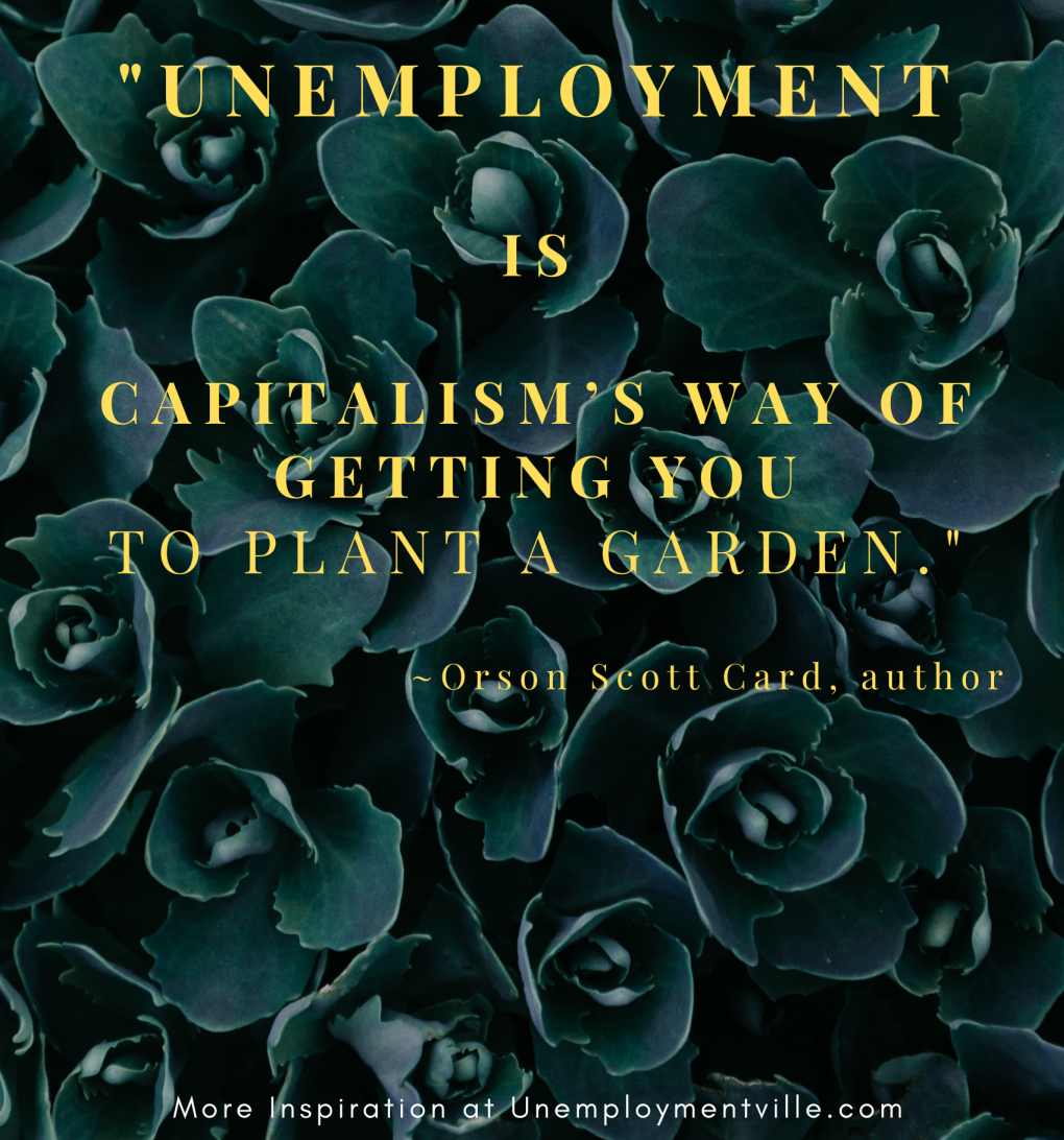Unemployment is Capitalism's way of getting you to plant a garden.