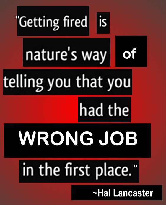 Getting fired is nature's way of telling you that you had the WRONG JOB in the first place